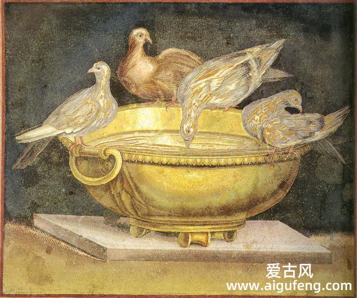 鸠 • *